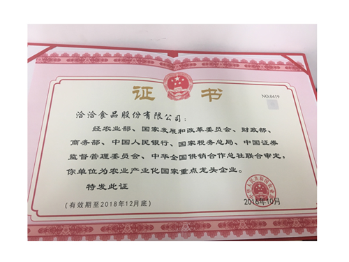 國(guo)傢(jia)重(zhong)點龍頭齊(qi)業