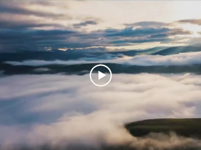 2025年(nian)國(guo)際(ji)生(sheng)物(wù)多(duo)樣性日(ri)主(zhu)題宣傳(chuan)片